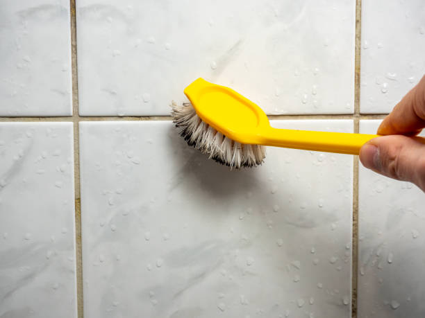  West Branch, MI Mold Removal Pros
