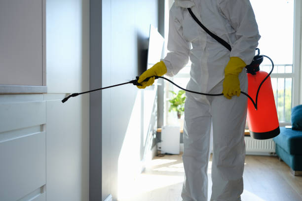 Best Mold Remediation  in West Branch, MI